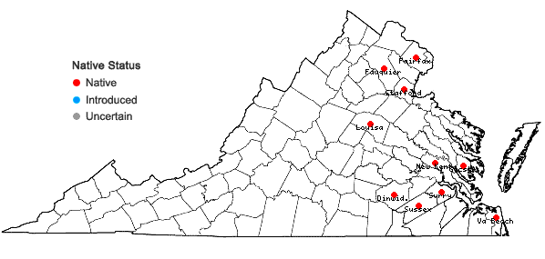 Locations ofPotamogeton berchtoldii Fieber in Virginia
