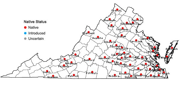 Locations ofPotamogeton diversifolius Raf. in Virginia