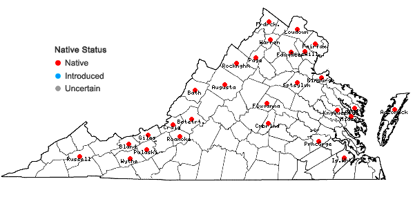 Locations ofPotamogeton foliosus Raf. var. foliosus in Virginia
