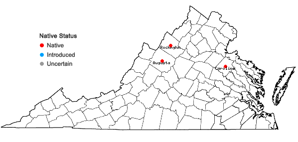 Locations ofPotamogeton oakesianus Robbins in Virginia