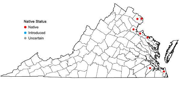 Locations ofPotamogeton perfoliatus L. in Virginia