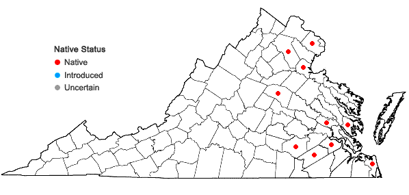 Locations ofPotamogeton pusillus L. ssp. tenuissimus (Mert. & Koch) Haynes & Hellq. in Virginia