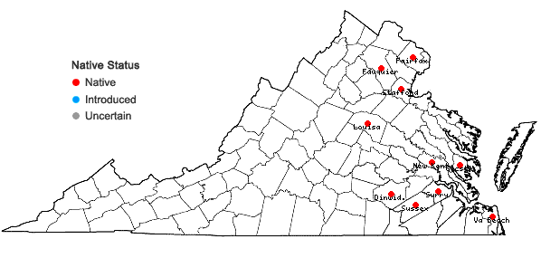 Locations ofPotamogeton pusillus L. ssp. tenuissimus (Mert. & Koch) Haynes & Hellq. in Virginia