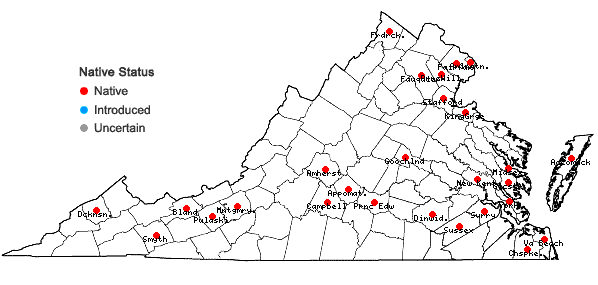 Locations ofPotamogeton pusillus L. in Virginia