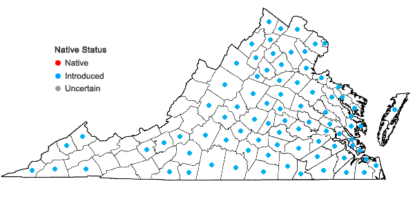 Locations ofPotentilla indica (Andr.) T. Wolf in Virginia