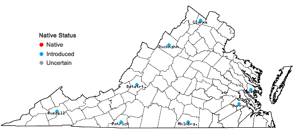 Locations ofPotentilla intermedia L. in Virginia