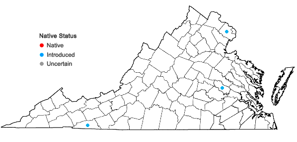 Locations ofPotentilla rivalis Nutt. in Virginia