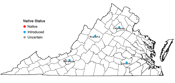 Locations ofPoterium sanguisorba L. var. polygamum (Waldstein & Kitaibel) Visiani in Virginia