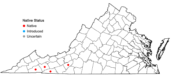 Locations ofPrenanthes roanensis (Chickering) Chickering in Virginia