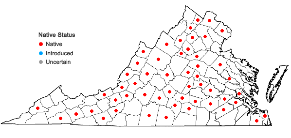 Locations ofPrenanthes trifoliolata (Cass.) Fern. in Virginia
