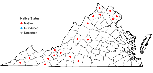 Locations ofPrimula meadia (L.) A. R. Mast & Reveal in Virginia