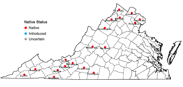 Locations ofPrimula meadia (L.) A. R. Mast & Reveal in Virginia