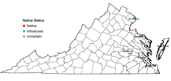 Locations ofProboscidea louisianica (P. Miller) Thellung in Virginia