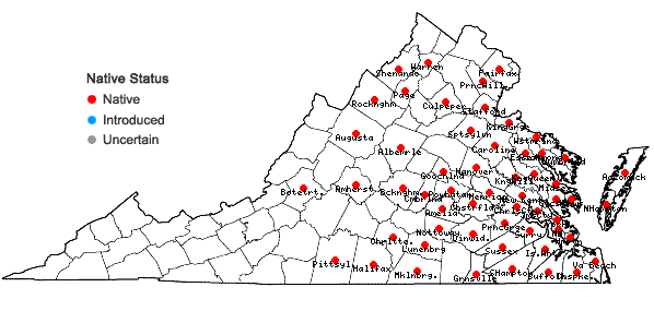 Locations ofProserpinaca palustris L. in Virginia