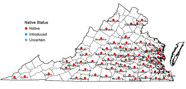Locations ofPrunus angustifolia Marshall in Virginia