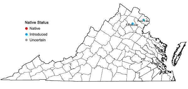 Locations ofPrunus domestica L. var. insititia (L.) Fiori & Paoletti in Virginia