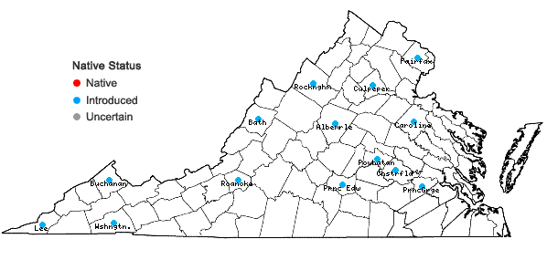 Locations ofPrunus hortulana Bailey in Virginia