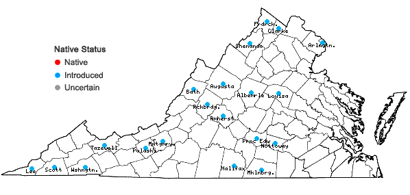 Locations ofPrunus mahaleb L. in Virginia