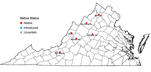 Locations ofPrunus nigra Aiton in Virginia
