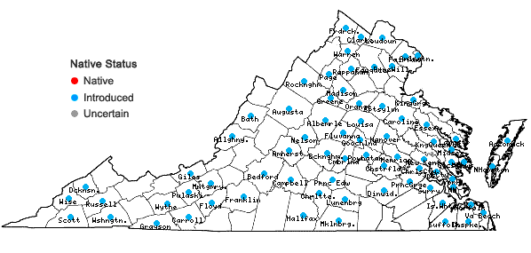 Locations ofPrunus persica (L.) Batsch in Virginia