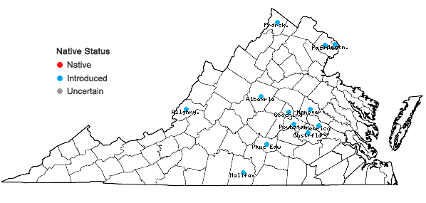 Locations ofPrunus subhirtella Miq. in Virginia