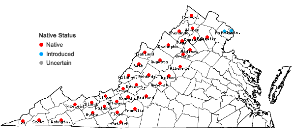 Locations ofPrunus virginiana L. var. virginiana in Virginia