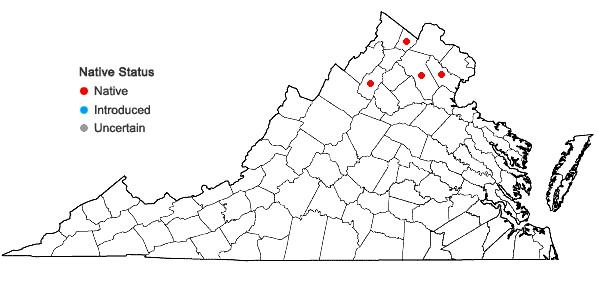 Locations ofPseudocampylium radicale (P. Beauv.) Vanderpoorten & Hedenäs in Virginia