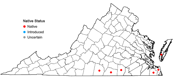 Locations ofPseudognaphalium helleri (Britt.) A. Anderb. in Virginia