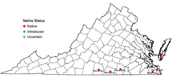 Locations ofPseudognaphalium helleri (Britt.) A. Anderb. in Virginia
