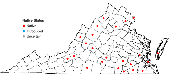 Locations ofPseudognaphalium micradenium (Weatherby) Nesom in Virginia