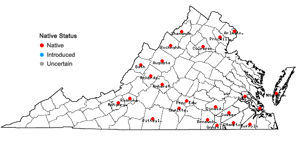 Locations ofPseudognaphalium micradenium (Weatherby) Nesom in Virginia