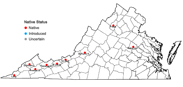 Locations ofPseudotaxiphyllum distichaceum (Mitt.) Z. Iwats. in Virginia