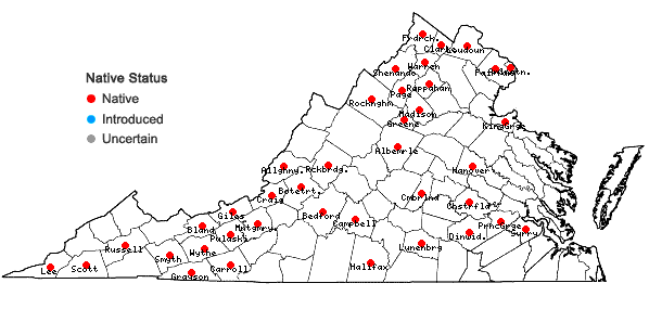 Locations ofPtelea trifoliata L. var. trifoliata in Virginia