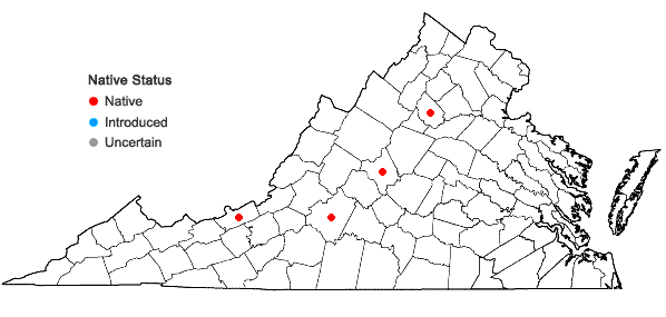 Locations ofPterigynandrum filiforme Hedwig in Virginia