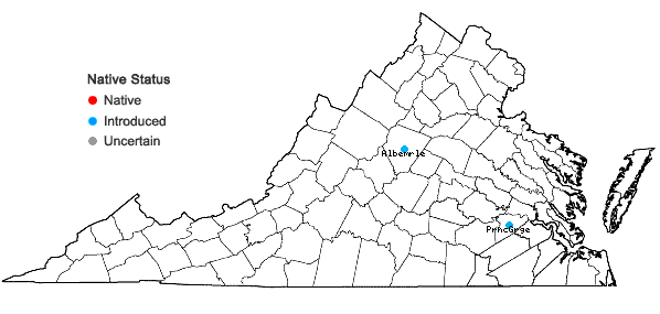 Locations ofPteris multifida Poir. in Virginia