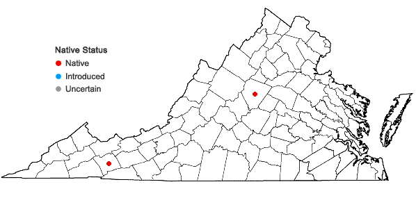 Locations ofPtilidium ciliare (L.) Hampe in Virginia