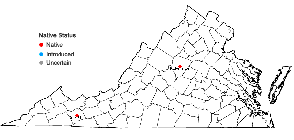 Locations ofPtilidium ciliare (L.) Hampe in Virginia
