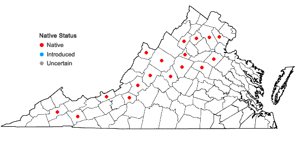 Locations ofPtilidium pulcherrimum (Weber) Vain. in Virginia