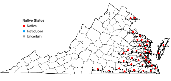 Locations ofPtilimnium capillaceum (Michx.) Raf. in Virginia