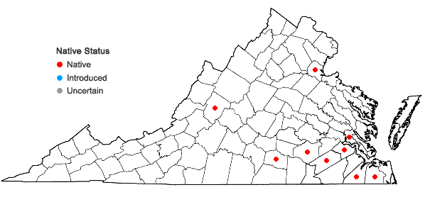 Locations ofPtychomitrium drummondii (Wilson) Sull. in Virginia