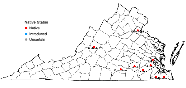 Locations ofPtychomitrium drummondii (Wilson) Sull. in Virginia