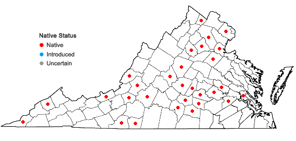 Locations ofPtychomitrium incurvum (Schwägr.) Spruce  in Virginia