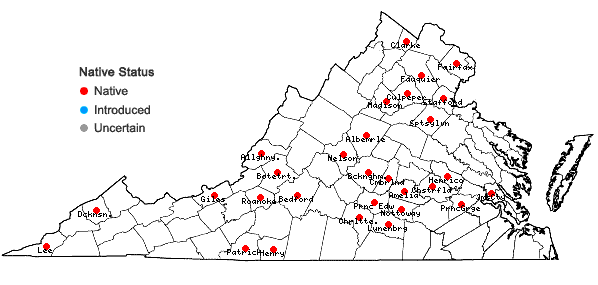 Locations ofPtychomitrium incurvum (Schwägr.) Spruce  in Virginia