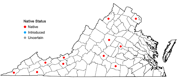 Locations ofPtychostomum creberrimum (Taylor) J.R. Spence & H.P. Ramsay in Virginia