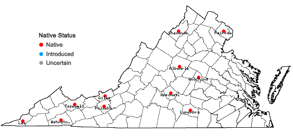Locations ofPtychostomum creberrimum (Taylor) J.R. Spence & H.P. Ramsay in Virginia