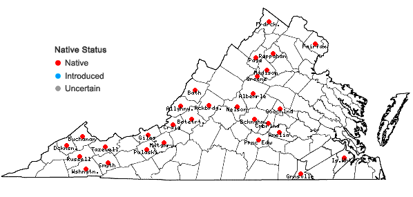 Locations ofPtychostomum pseudotriquetrum (Hedw.) J.R. Spence & H.P. Ramsay ex Holyoak & N. Pedersen in Virginia
