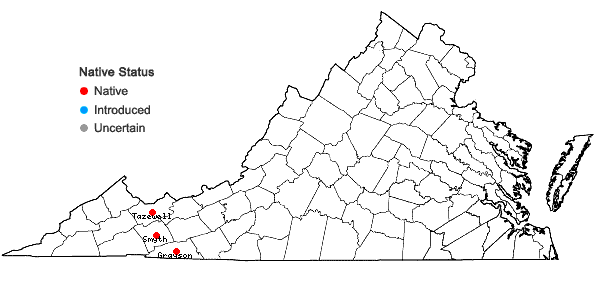 Locations ofPycnanthemum beadlei (Small) Fern. in Virginia