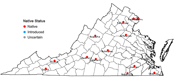Locations ofPycnanthemum clinopodioides Torr. & Gray in Virginia