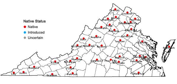 Locations ofPycnanthemum incanum (L.) Michx. var. incanum in Virginia
