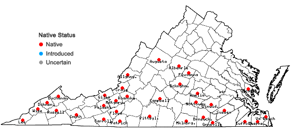 Locations ofPycnanthemum loomisii Nutt. in Virginia